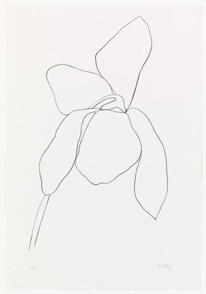 Cyclamen II from Suite of Plant Lithographs