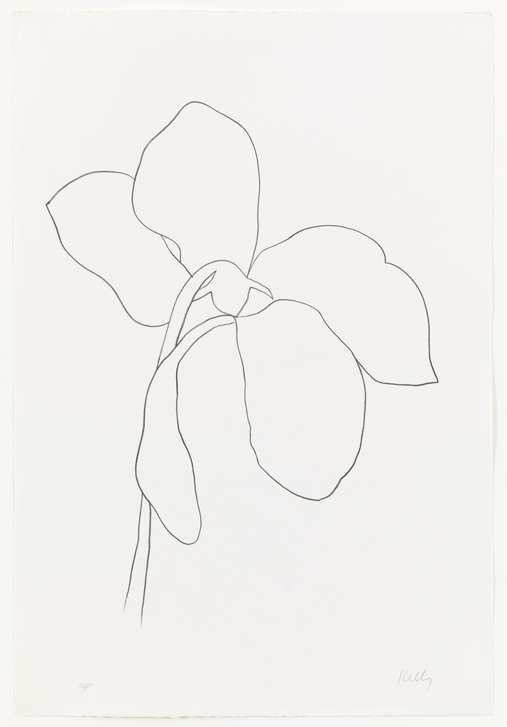 Cyclamen III from Suite of Plant Lithographs