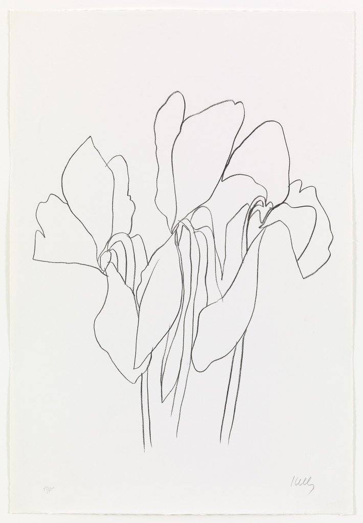 Cyclamen V from Suite of Plant Lithographs
