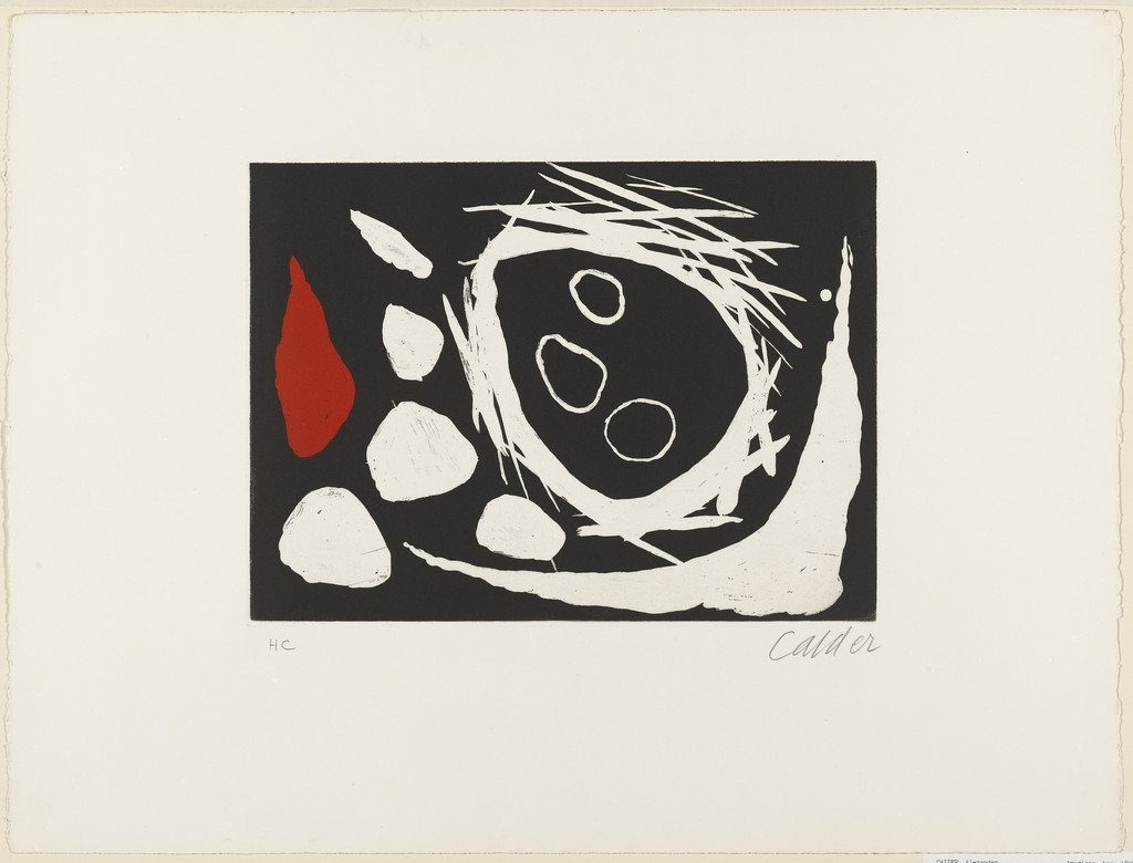 The Skull in the Nest (Le crâne dans le nid)