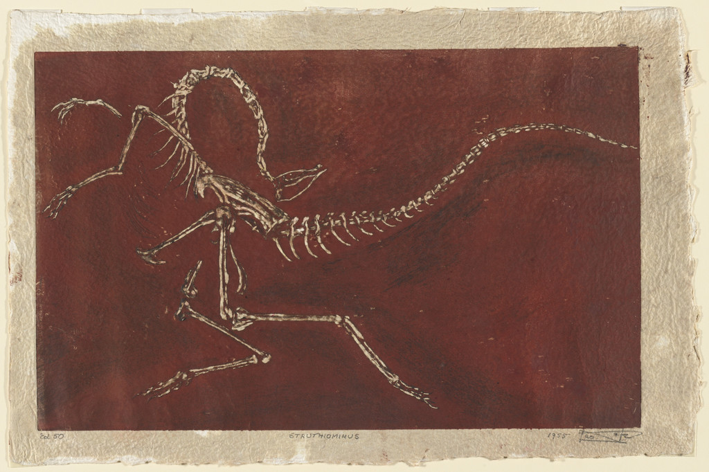 Struthiomimus