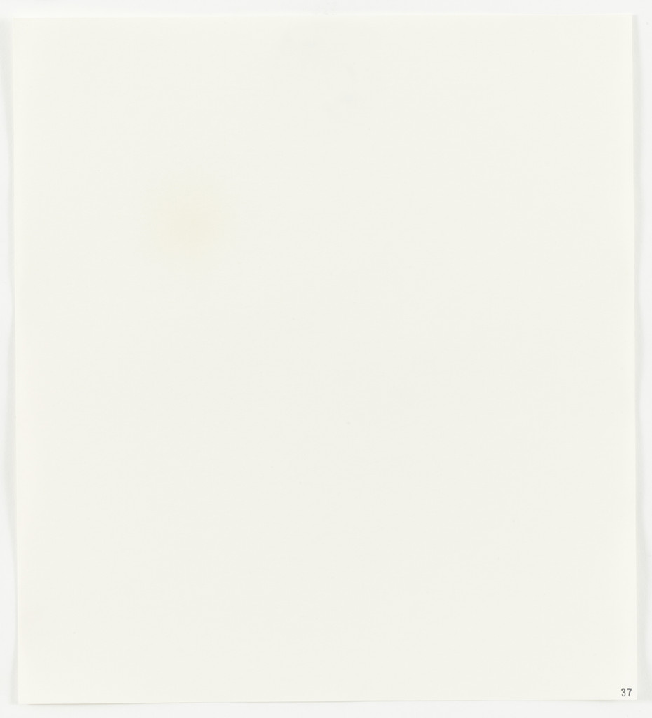 Varnish (Grumbacher spray damar) from Stains