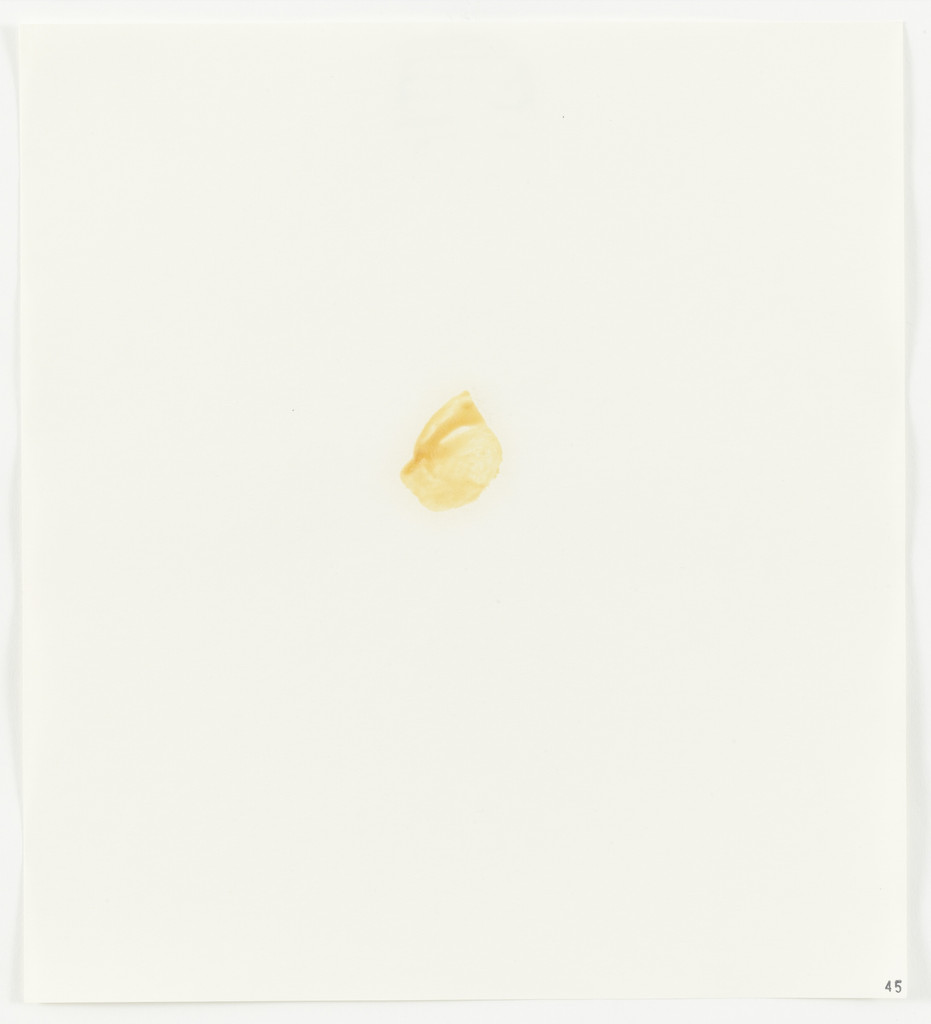 Egg Yolk from Stains