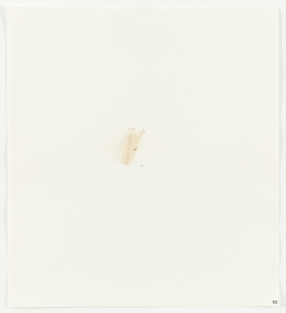 Rose Petal (American Beauty) from Stains