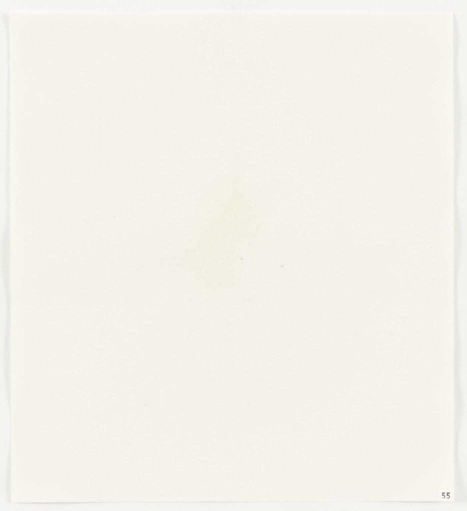 Green Onion from Stains