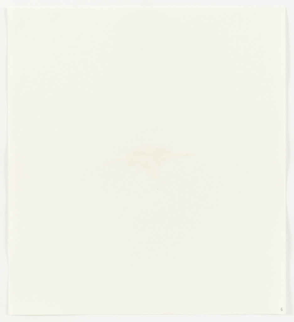 Bleach (Clorox) from Stains