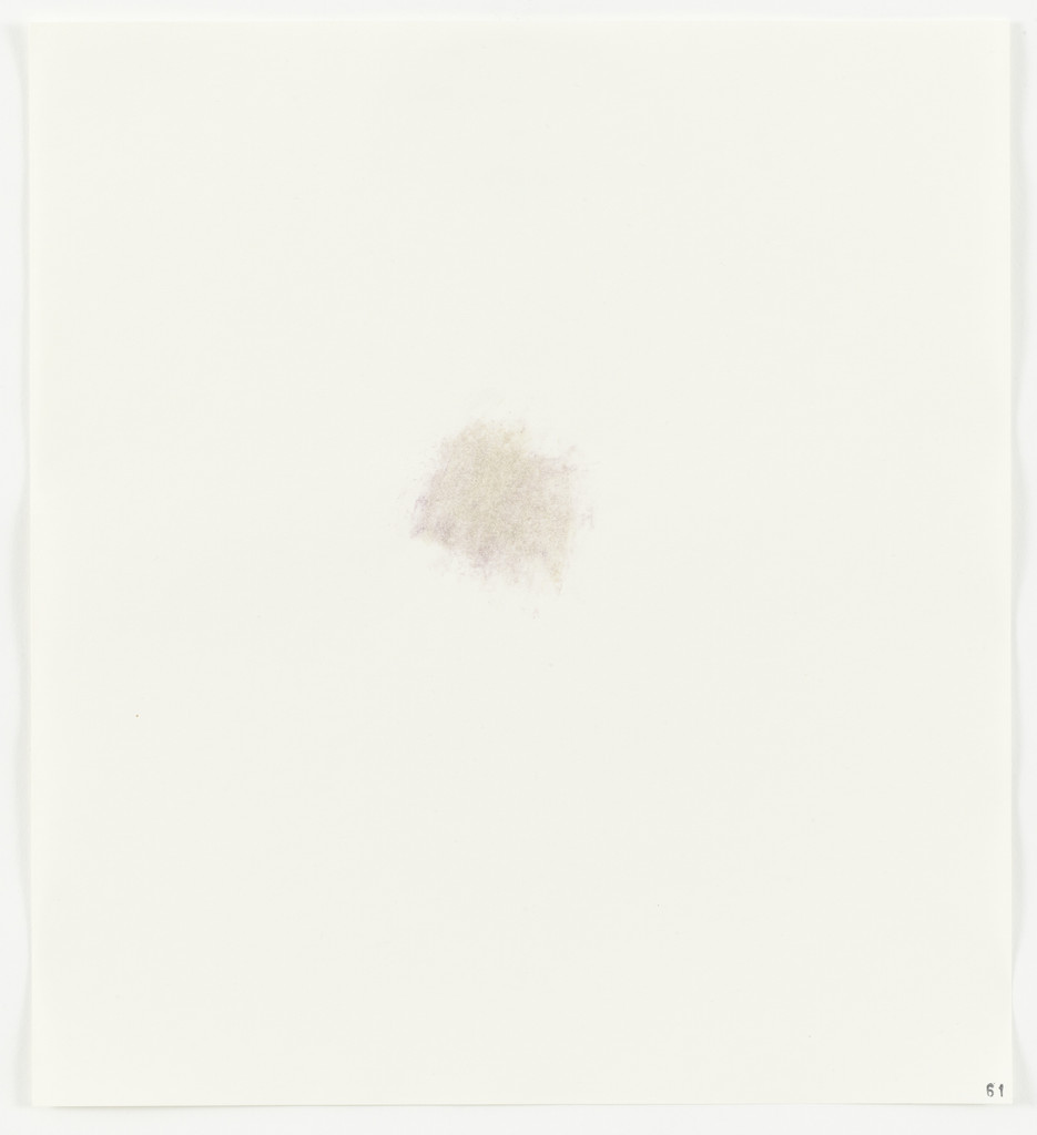 Cabbage (Red) from Stains