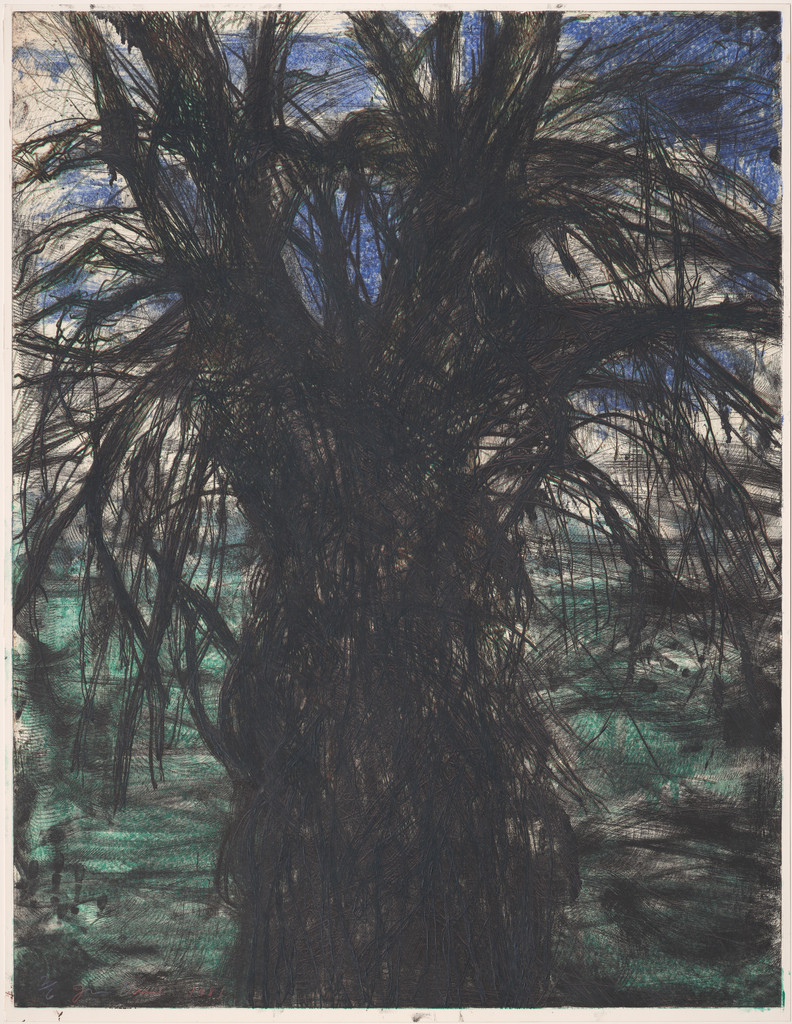The Tree in Soot