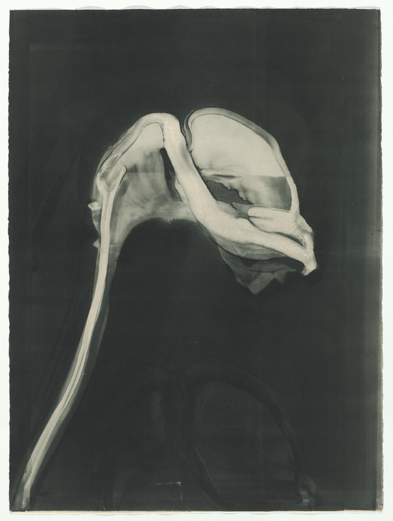Six Gestures of the Calla