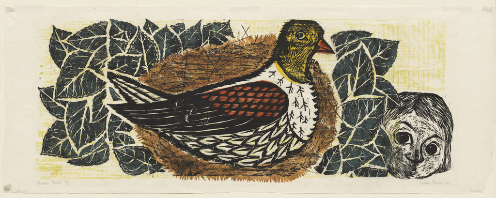 Strange Bird