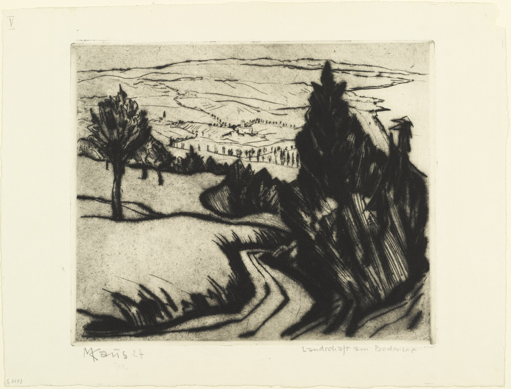 Landscape at Bodensee (Landschaft am Bodensee)