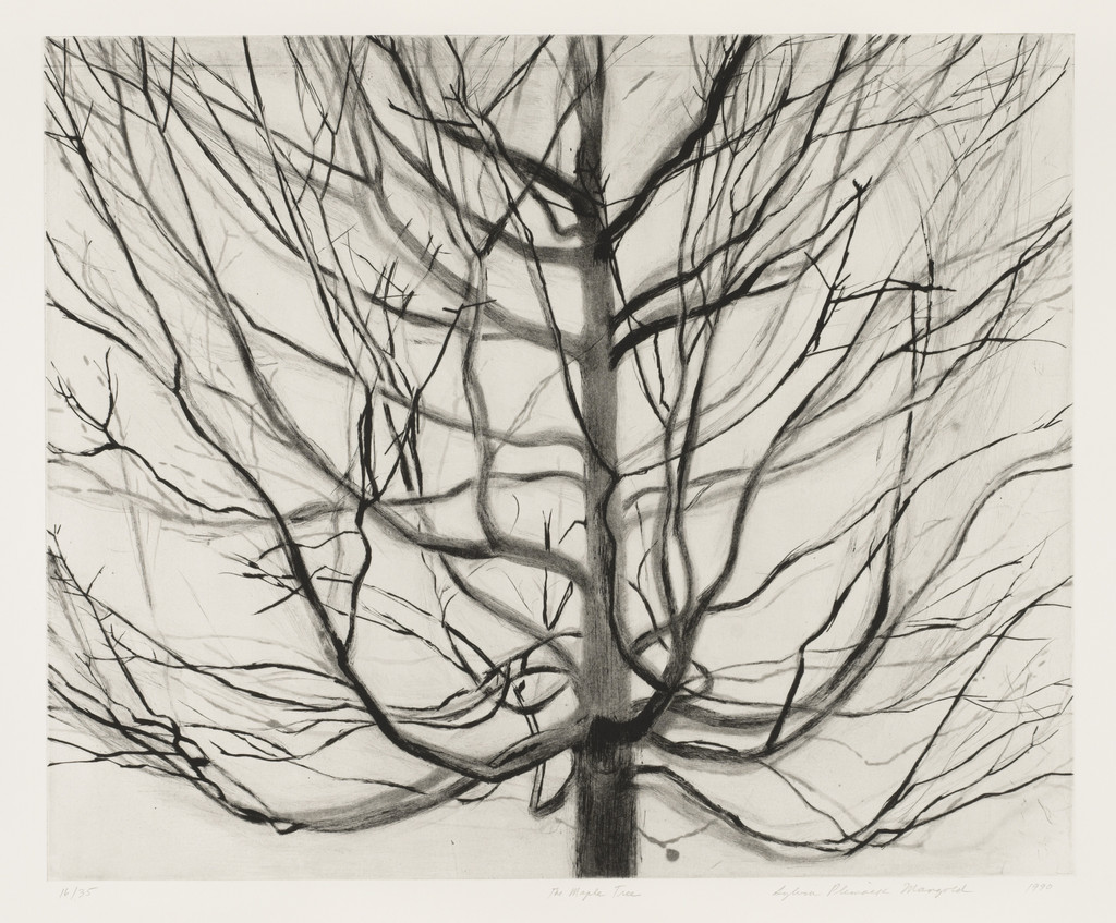 The Maple Tree