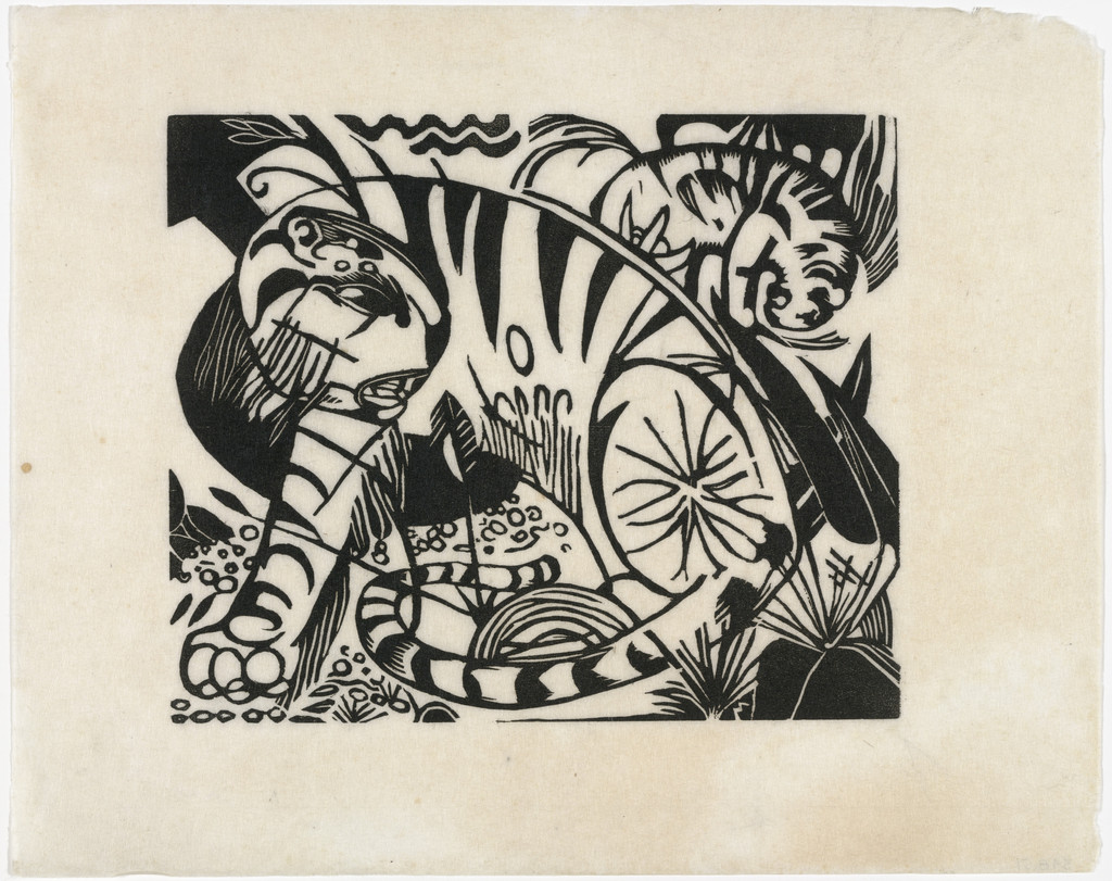 Tigers (Tiger)