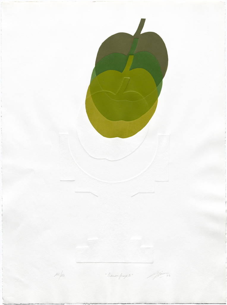 Camouflage 2 from AGPA 73: Pan American Graphic Arts (AGPA 73: Artes gráficas panamericanas)