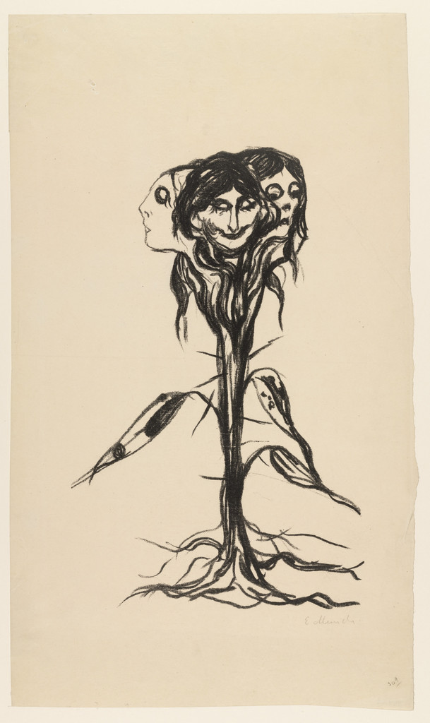 Vignette: Amaryllis