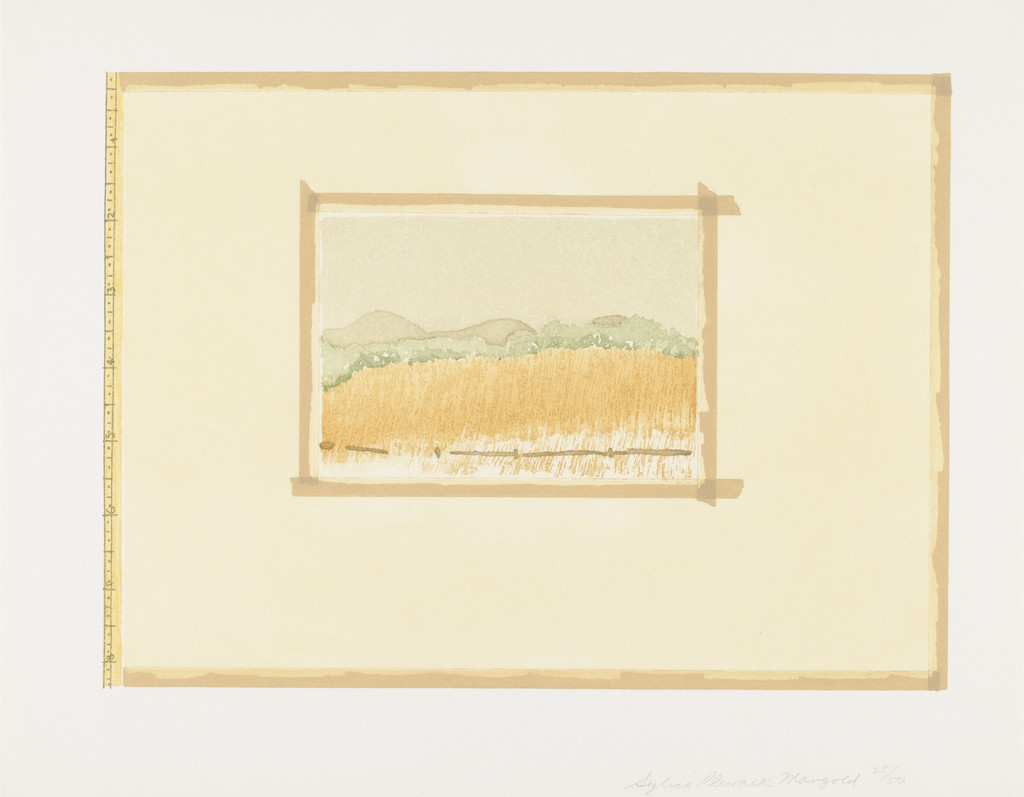 Untitled from Aquatint, Sugarlift and Golden Changes