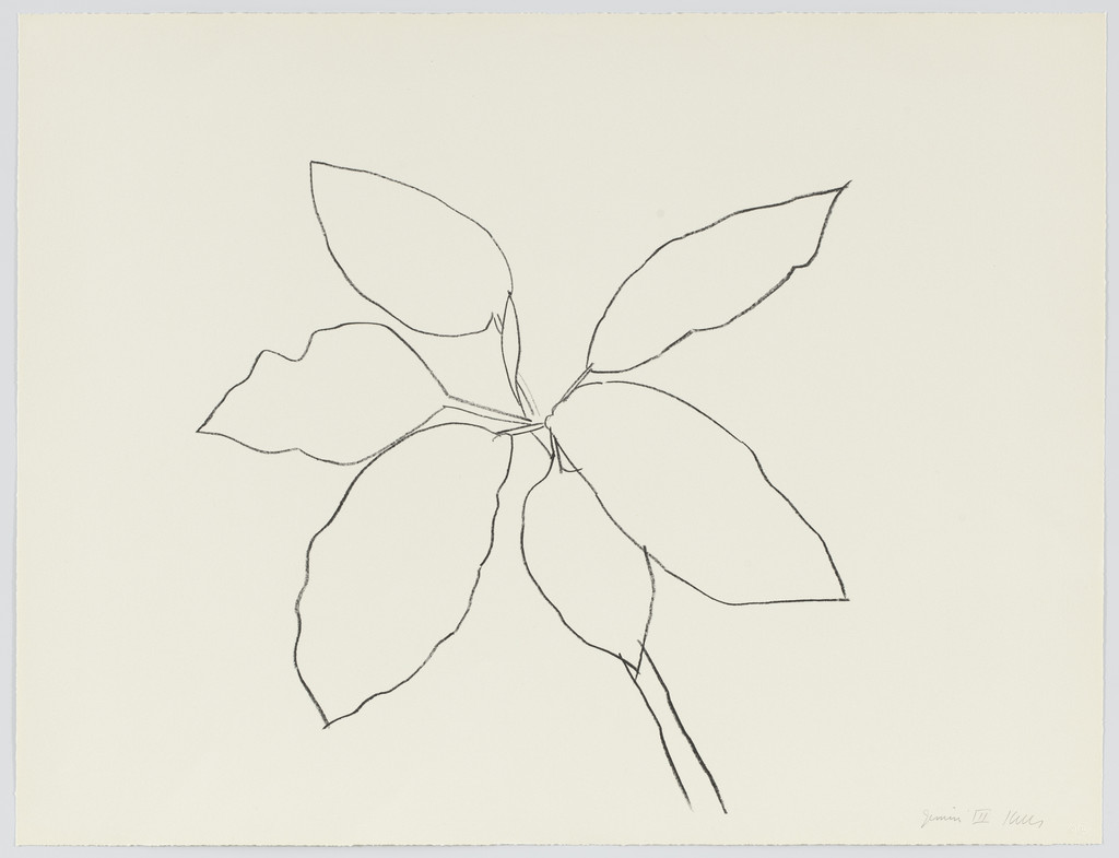 Saint Martin Tropical Plant from Eight Lithographs to Benefit the Foundation for Contemporary Performance Arts, Inc.