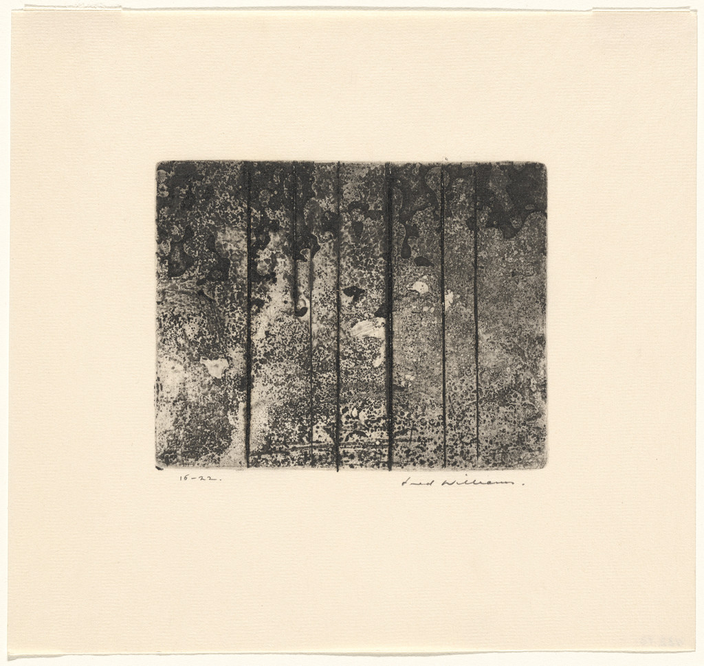 Sherbrooke Forest No. 8, State IV/IV