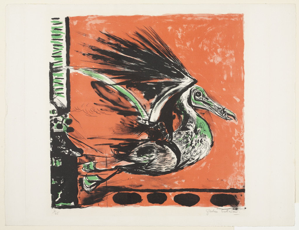 Bird