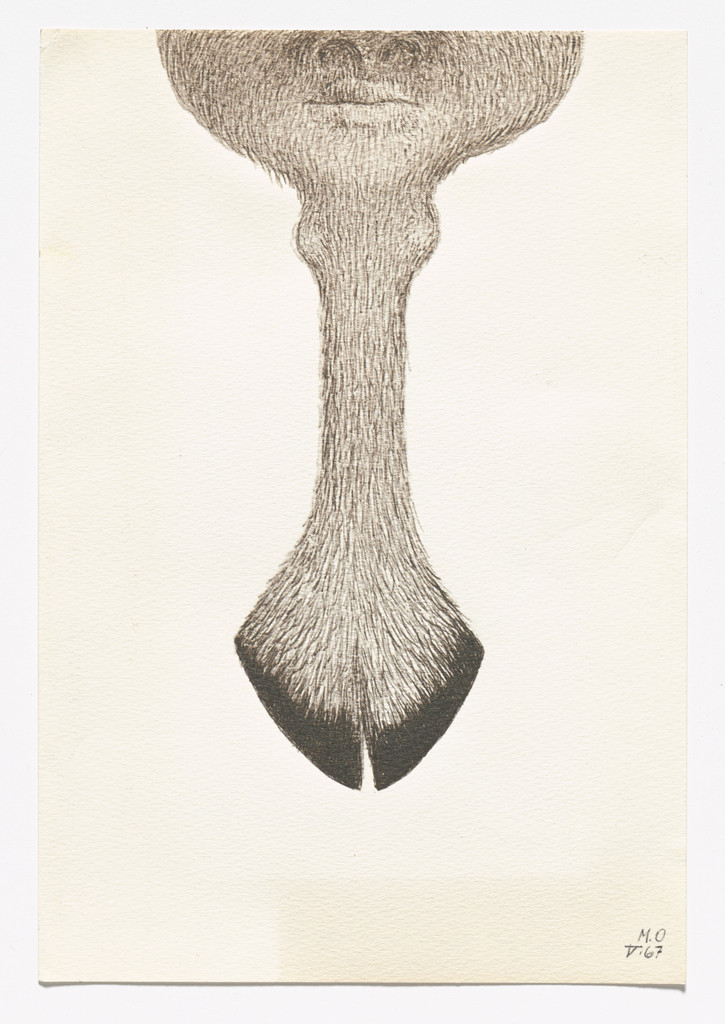 The Mirror of Genoveva from S.M.S. No. 2