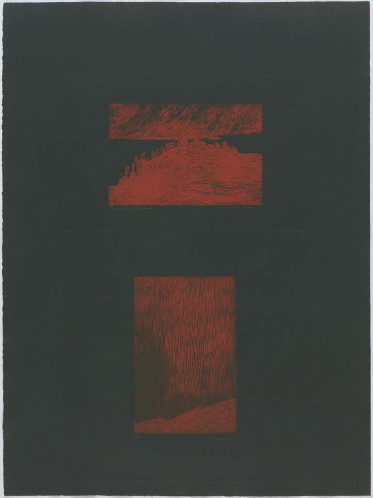 Death of a Dog and Acid Rain