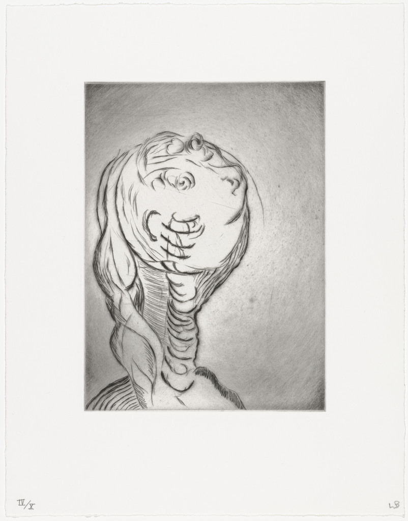 Untitled, plate 6 of 9, from the portfolio, The View from the Bottom of the Well