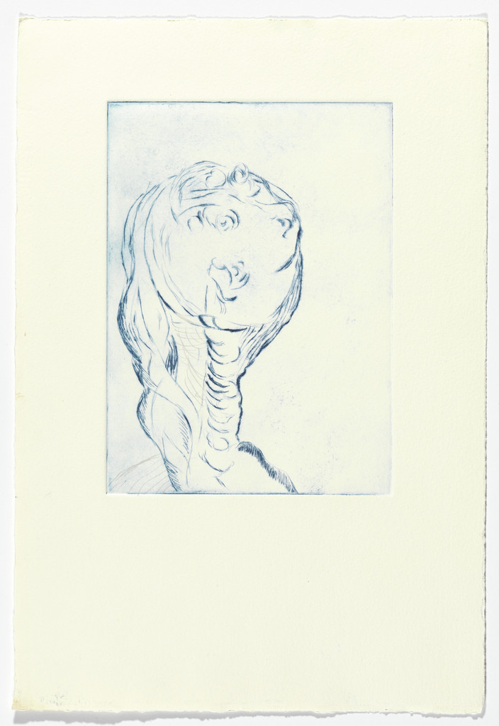 Untitled, plate 6 of 9, from the portfolio, The View from the Bottom of the Well