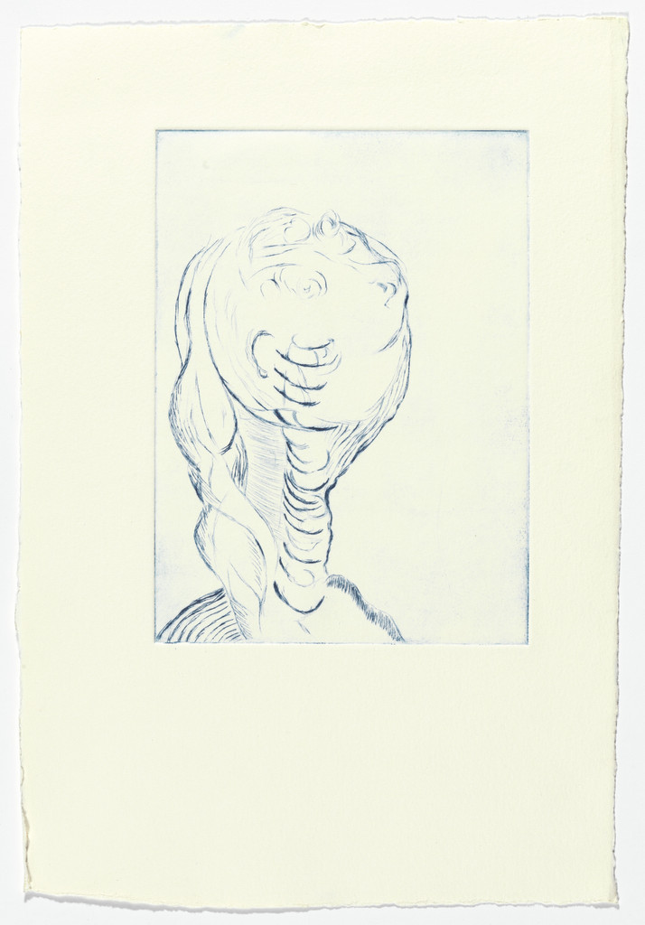 Untitled, plate 6 of 9, from the portfolio, The View from the Bottom of the Well