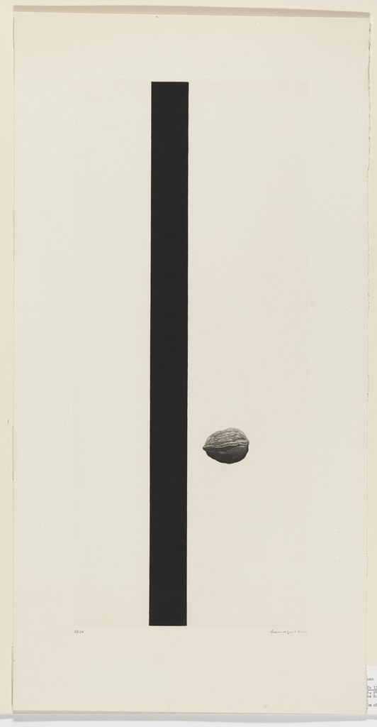Still Life 13