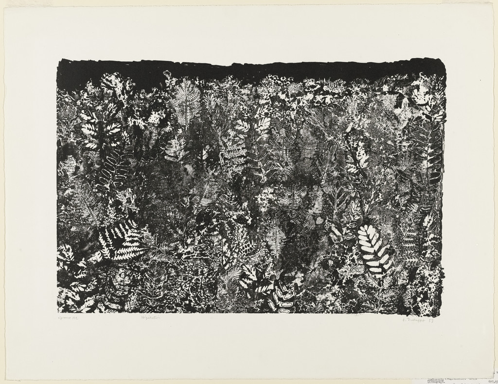 Vegetation (Végétation)