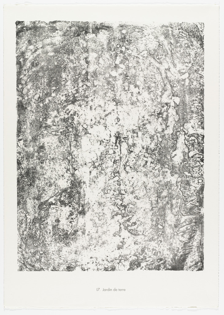 Earth Garden (Jardin de terre) from the portfolio Territories (Territoires) from Phenomena (Les Phénomènes)