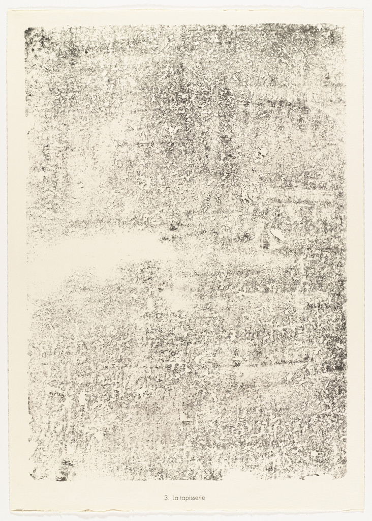 The Tapistry (La tapisserie) from the portfolio Territories (Territoires) from Phenomena (Les Phénomènes)