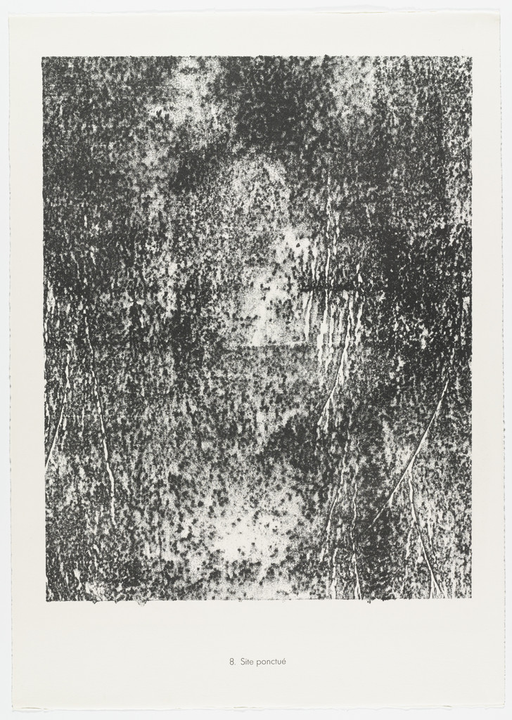 Punctuated Site (Site ponctué) from the portfolio Territories (Territoires) from Phenomena (Les Phénomènes)