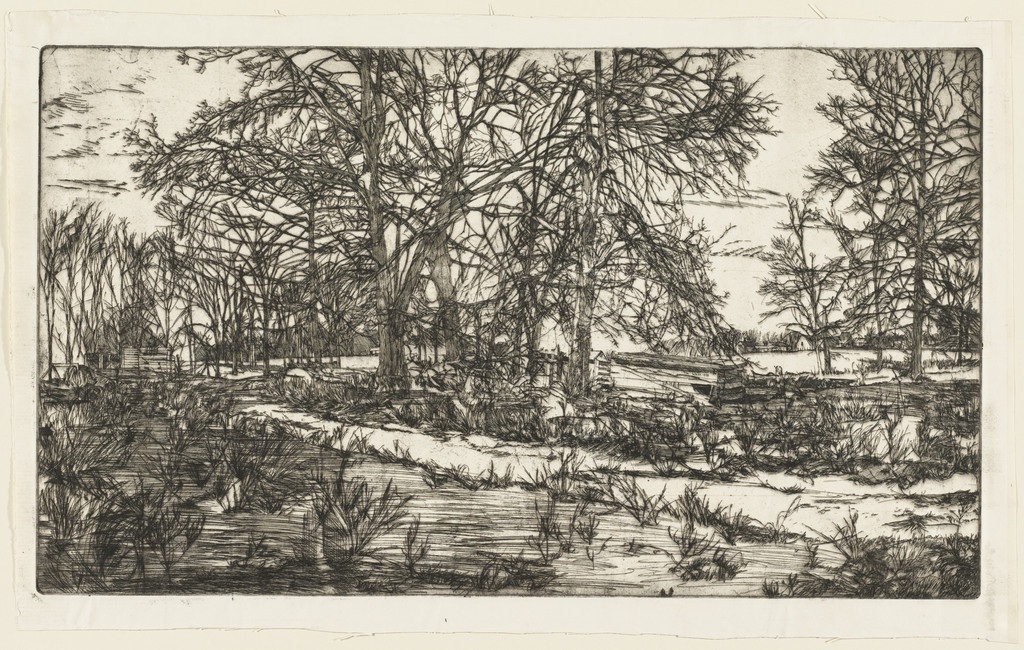 Cow Pasture