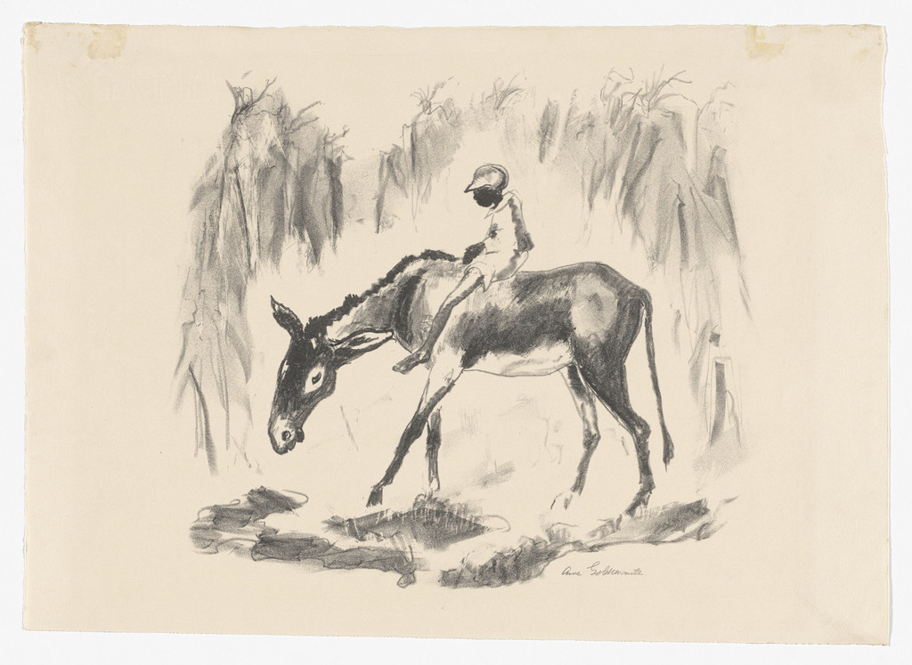 Waterhole