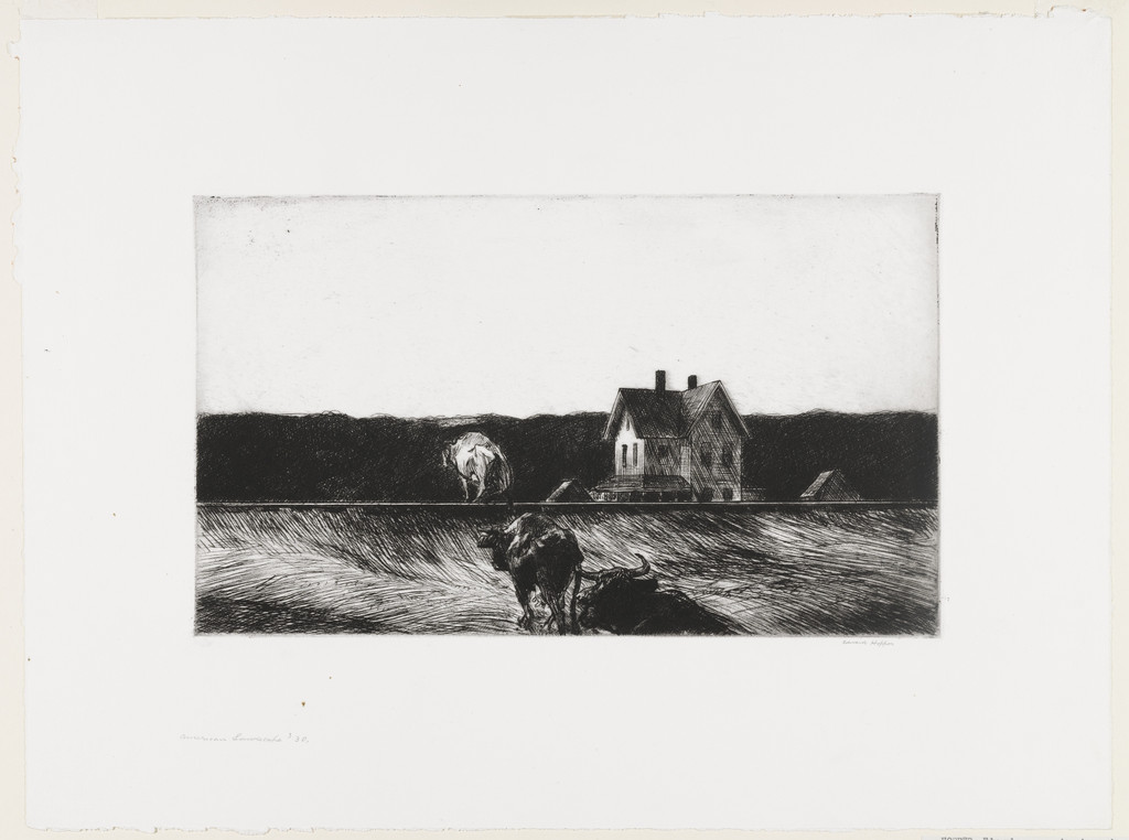 American Landscape