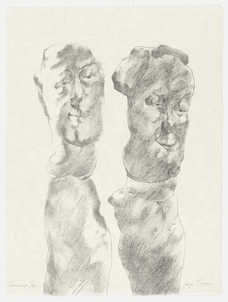 Untitled from The Mirrored Couple