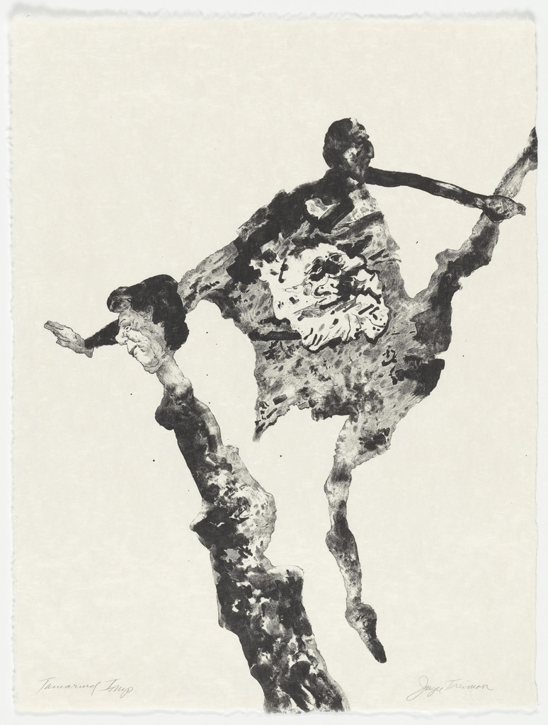 Untitled from The Mirrored Couple