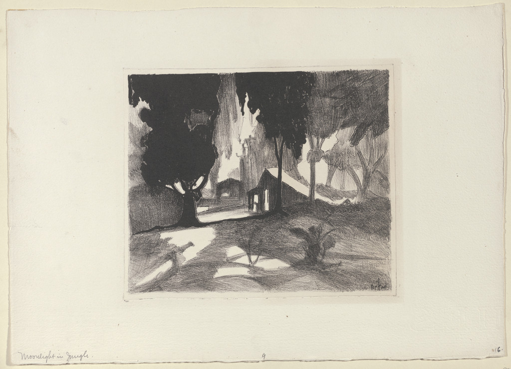 Moonlight in Jungle