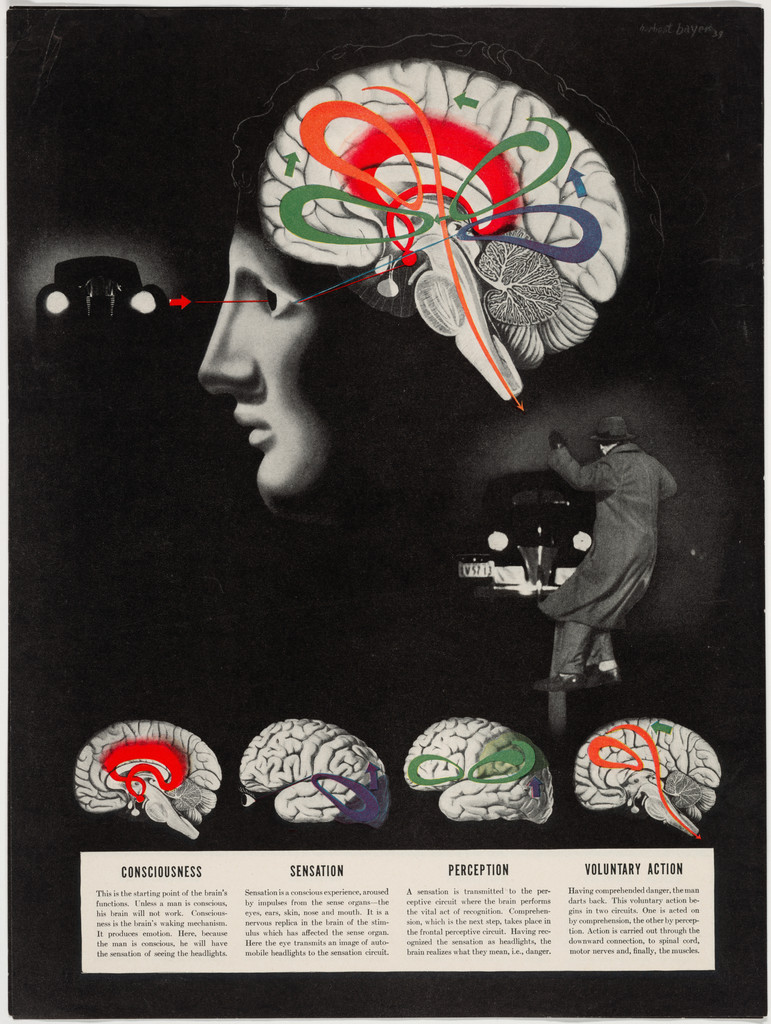 Consciousness, Sensation, Perception, Voluntary Action