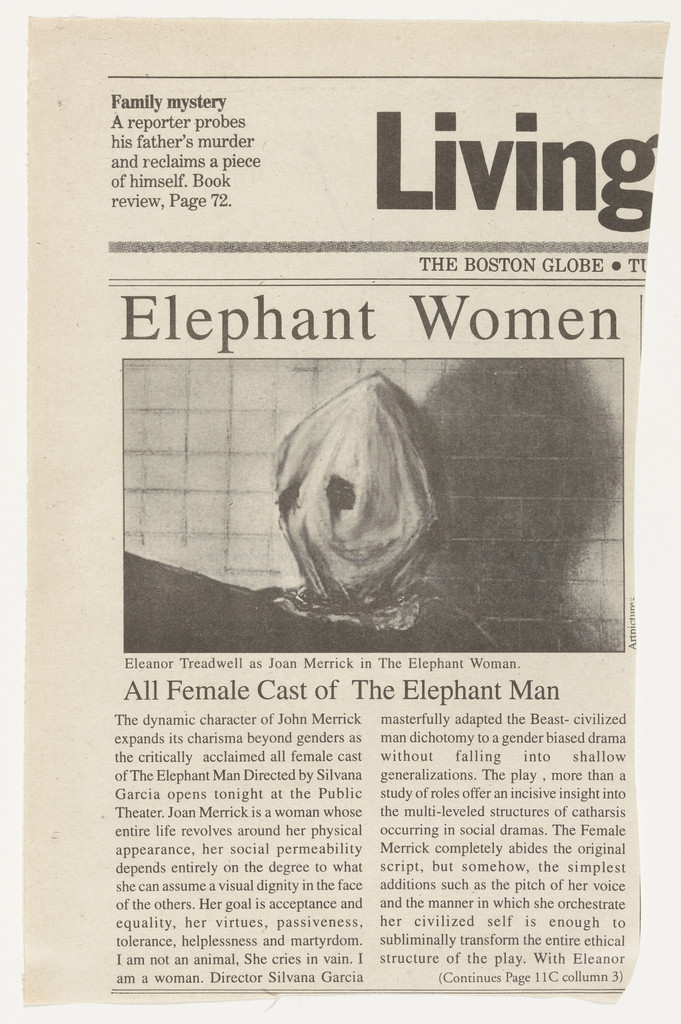 Elephant Women from the series Personal Articles