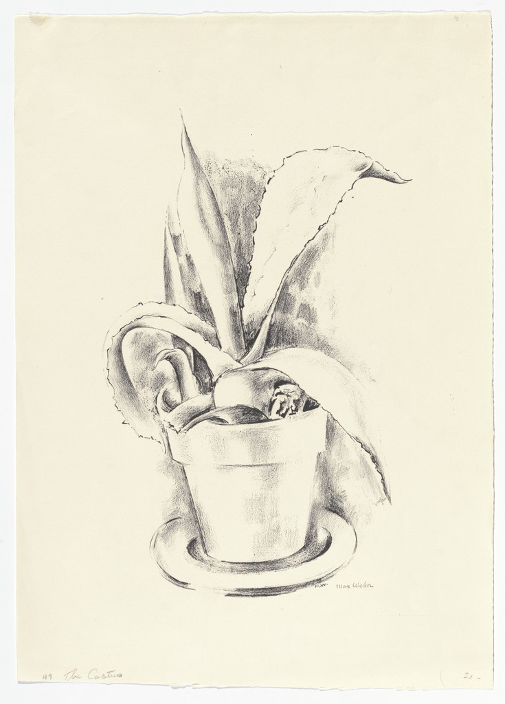 Cactus Plant