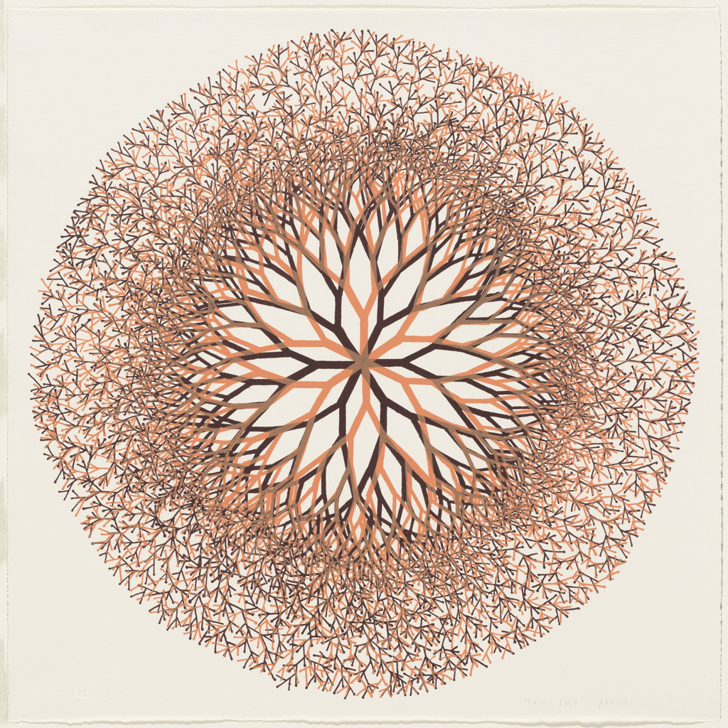 Desert Flower