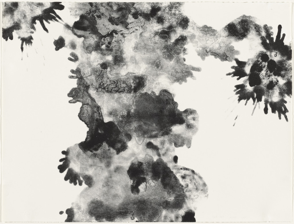 Plane Trees