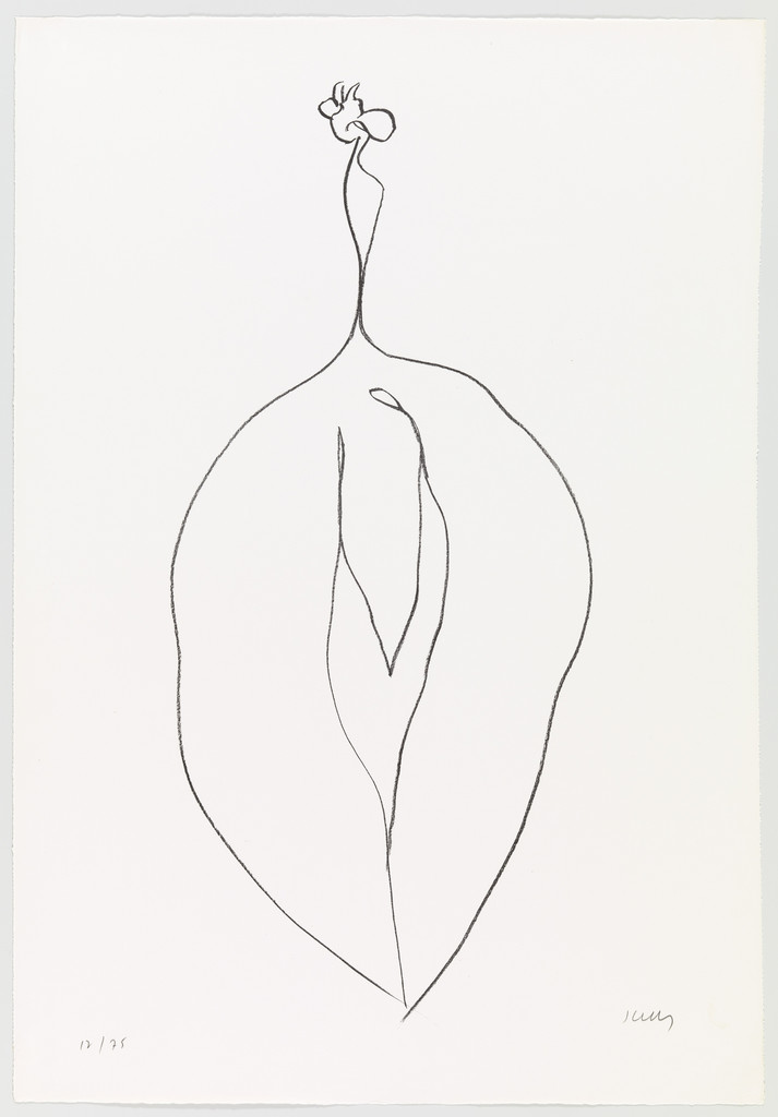 Seaweed (Algue) from Suite of Plant Lithographs