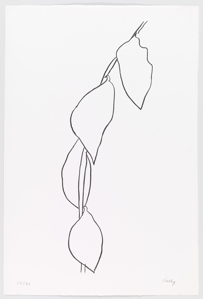Lemon Branch (Branche de citron) from Suite of Plant Lithographs