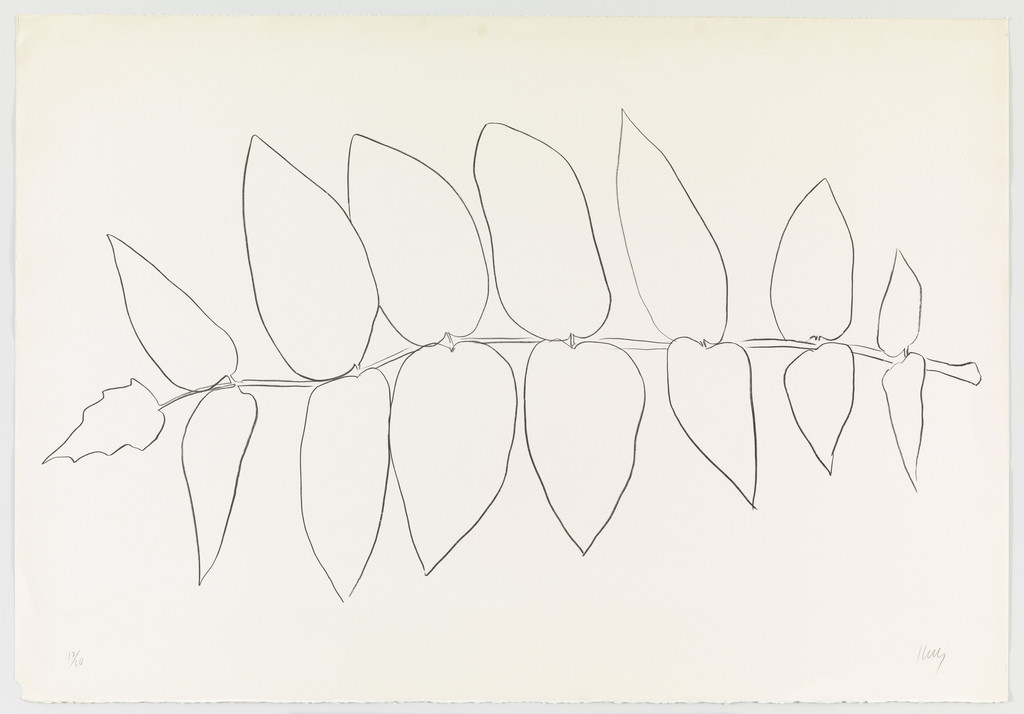 Ailanthus Leaves I (Vernis du Japon I) from Suite of Plant Lithographs