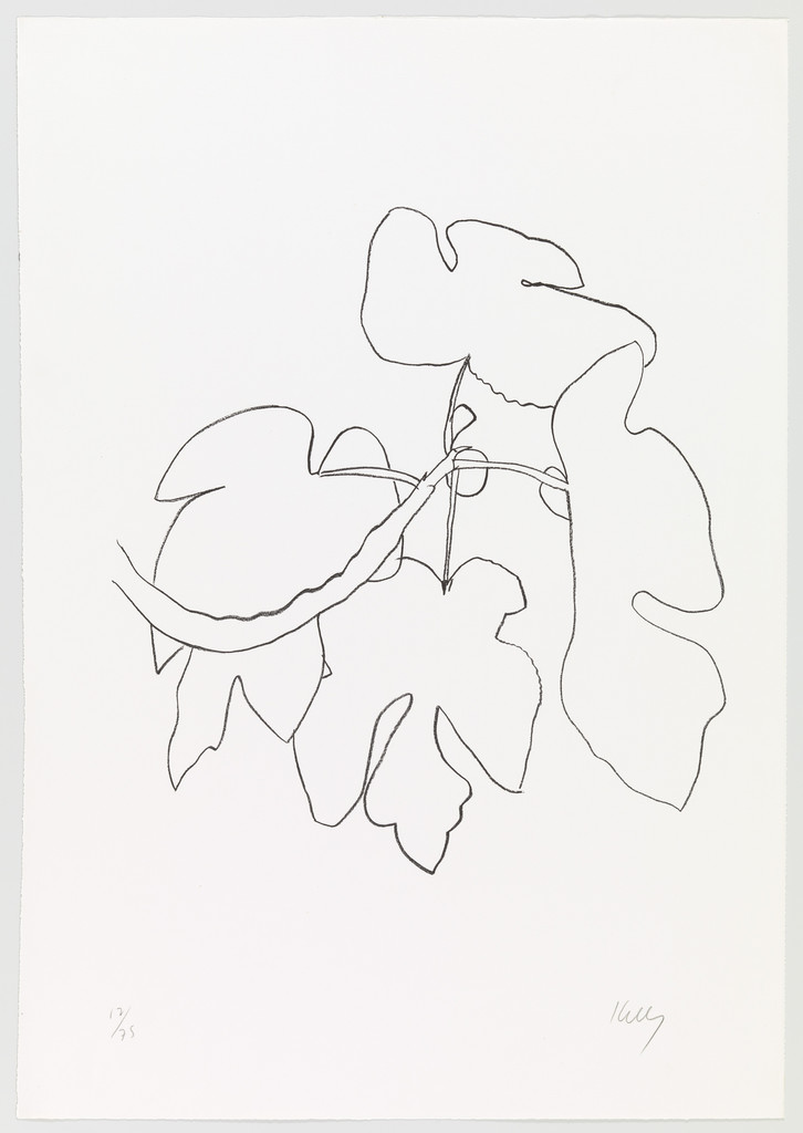 Fig Branch (Figue) from Suite of Plant Lithographs