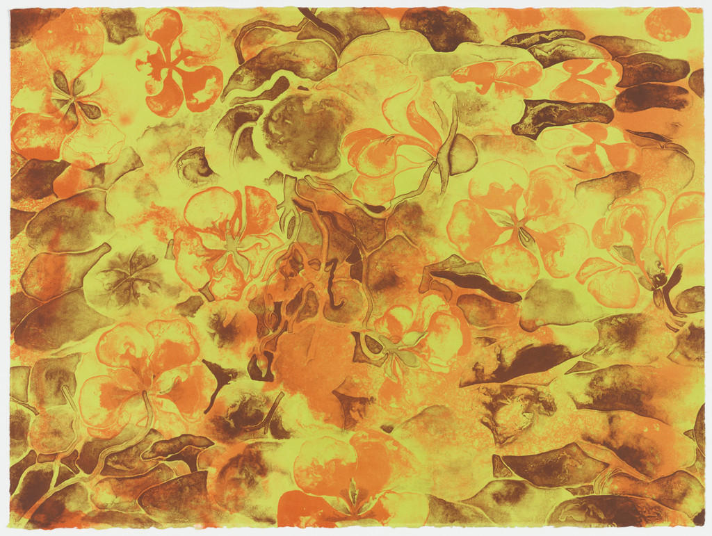 Nasturtiums