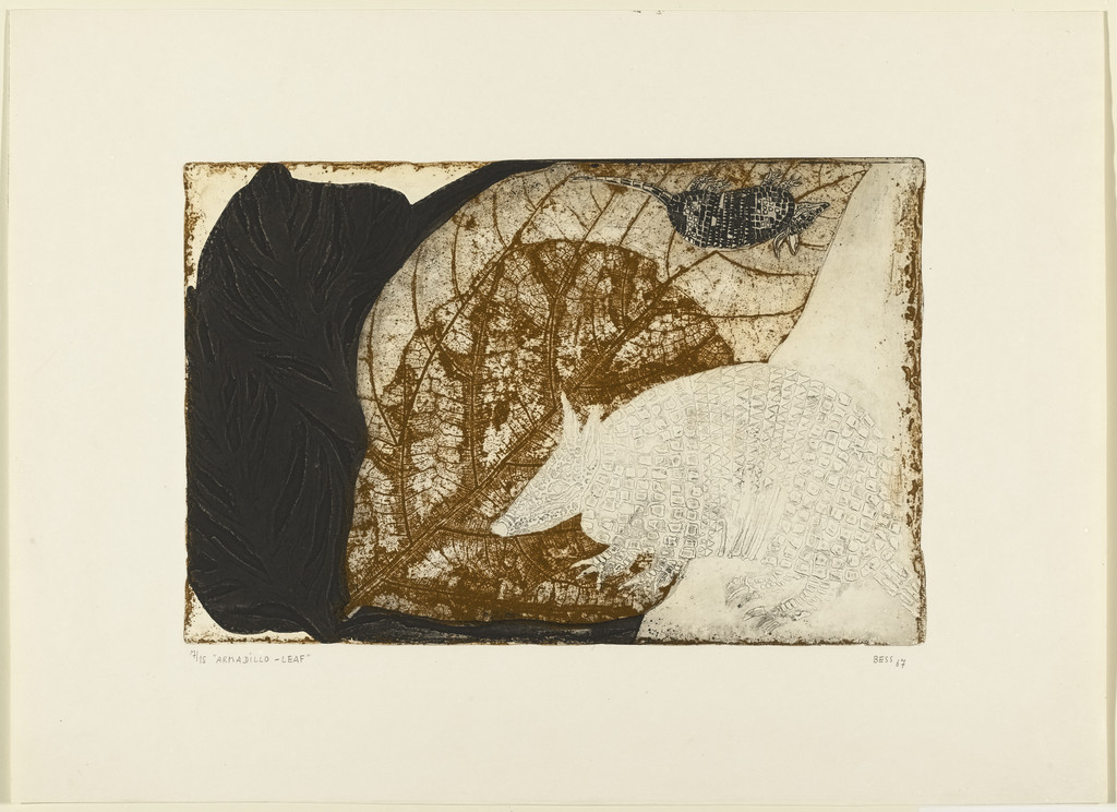 Armadillo-Leaf